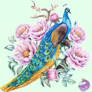 Meet your Posher, Annamay